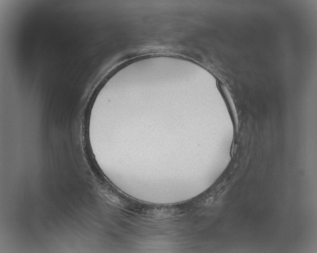 X0000073510103200608281717