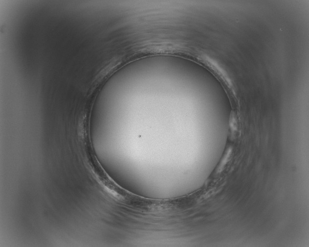 X0000073510105200608281717