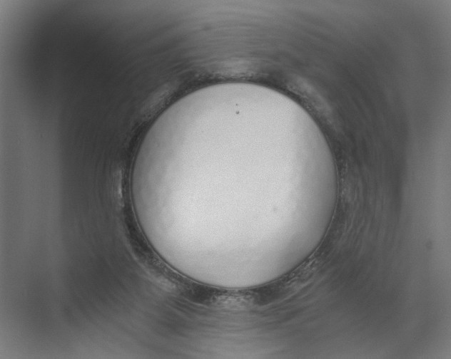 X0000073510115200608281717