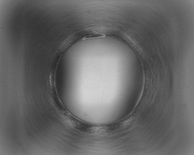 X0000073510117200608281717