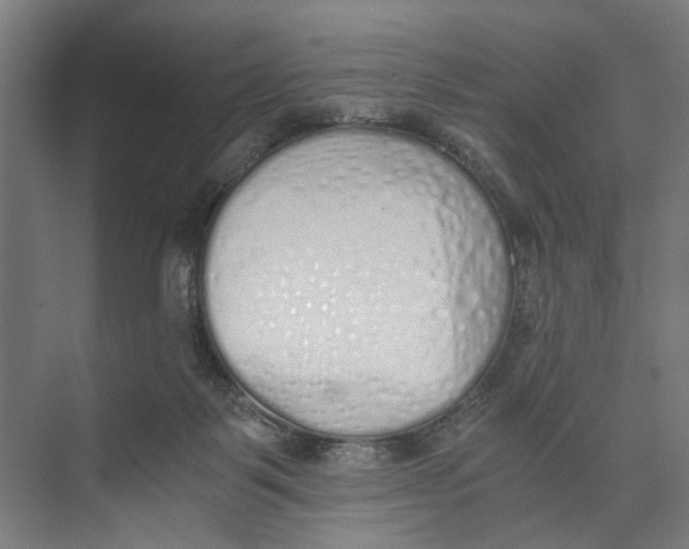 X0000073510123200608281717