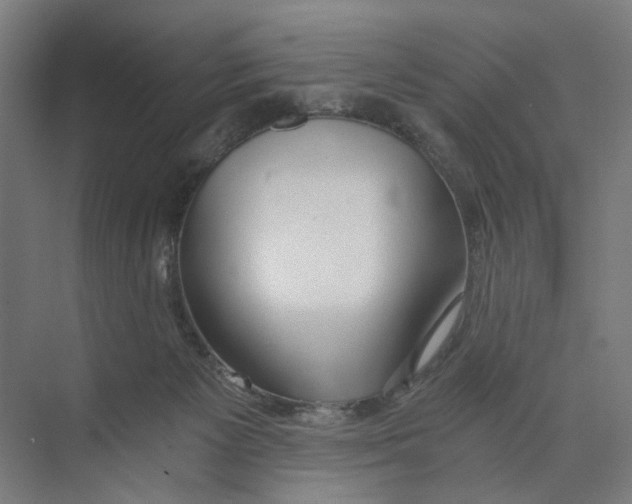 X0000073510125200608281717