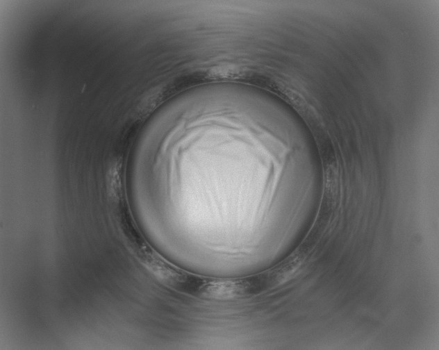 X0000073510127200608281717