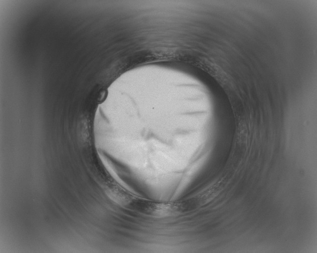 X0000073510130200608281717
