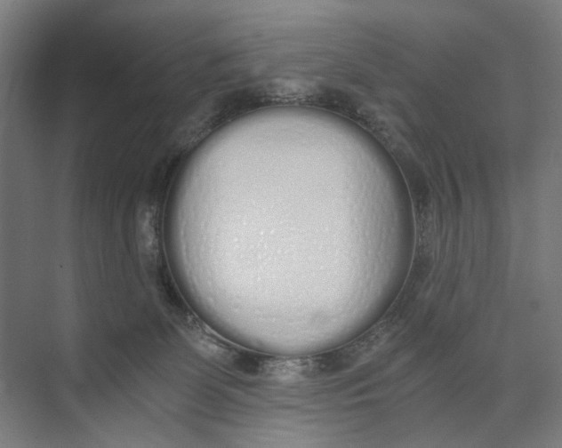 X0000073510131200608281717