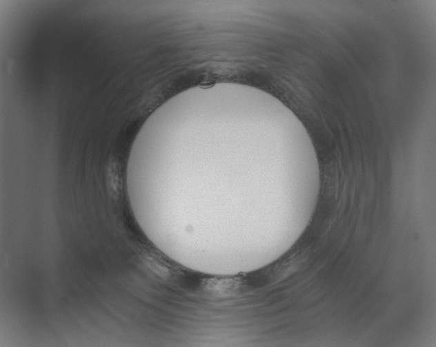 X0000073510135200608281717