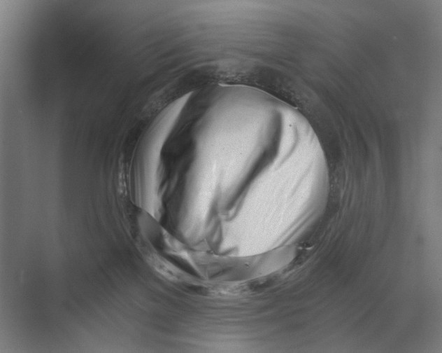 X0000073510137200608281717