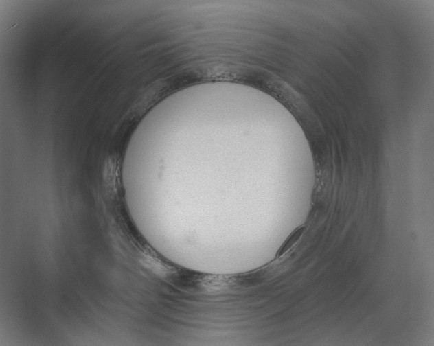 X0000073510142200608281717