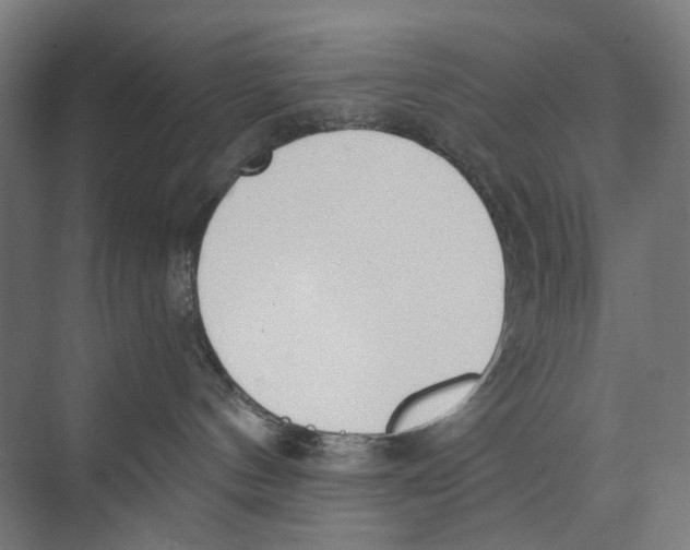 X0000073510144200608281717