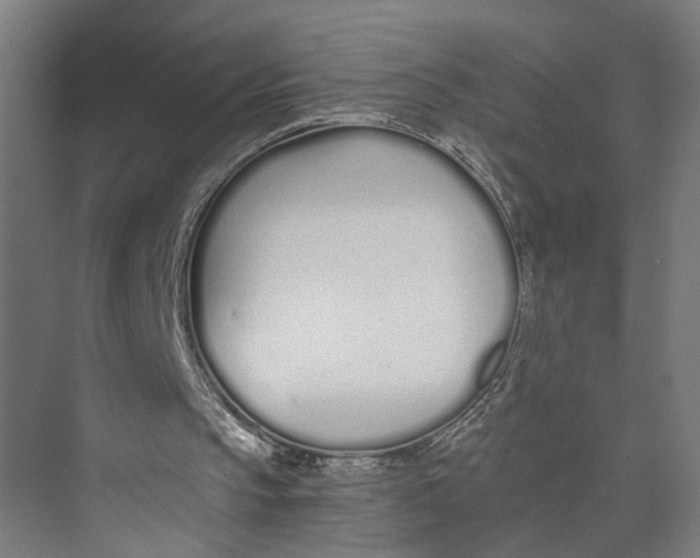 X0000073510145200608281716