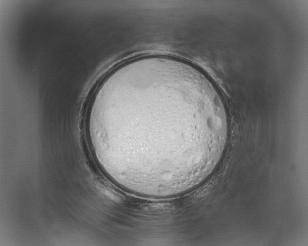 X0000073510151200608281716
