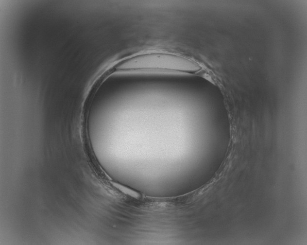 X0000073510152200608281716