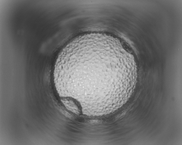 X0000073510153200608281716