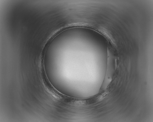 X0000073510156200608281716