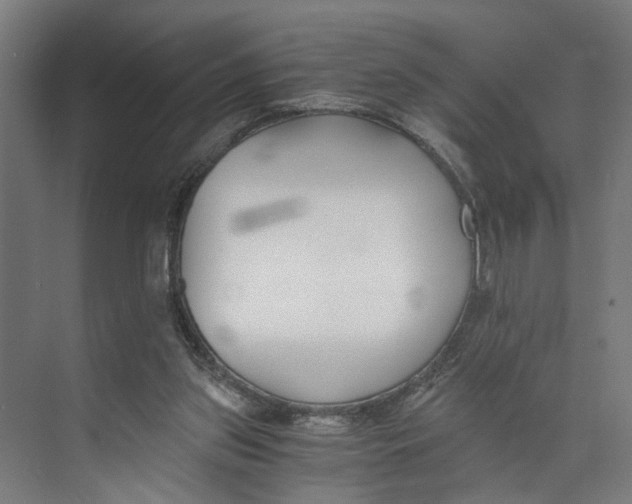 X0000073510157200608281716
