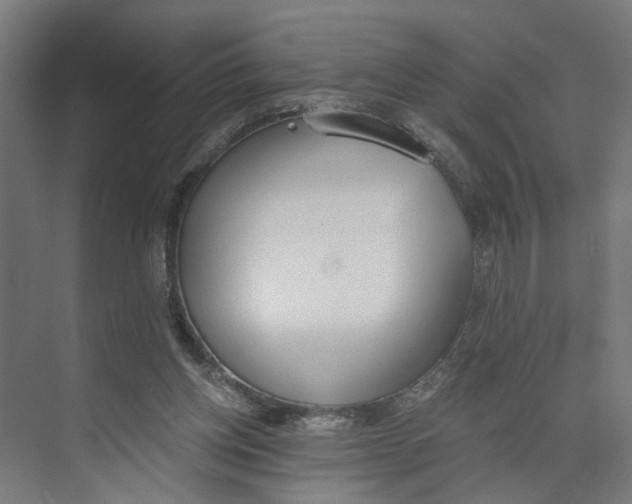 X0000073510158200608281716