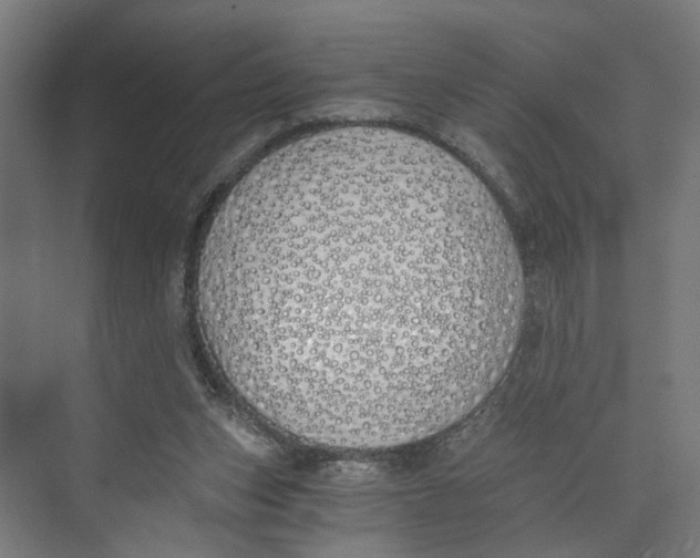 X0000073510159200608281716