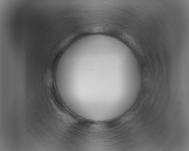 X0000073510164200608281716