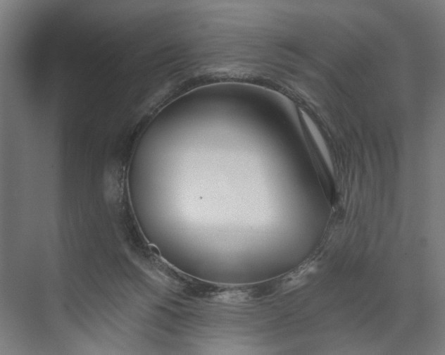 X0000073510168200608281716