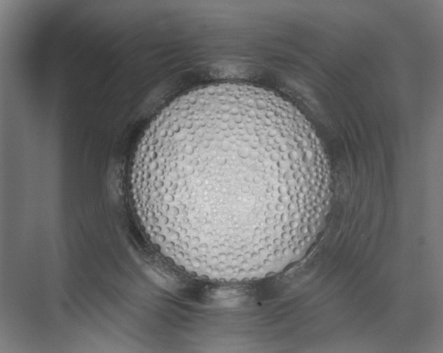 X0000073510171200608281716