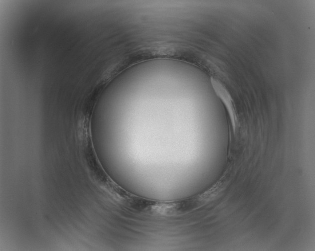 X0000073510172200608281716