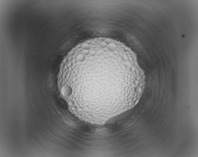 X0000073510173200608281716