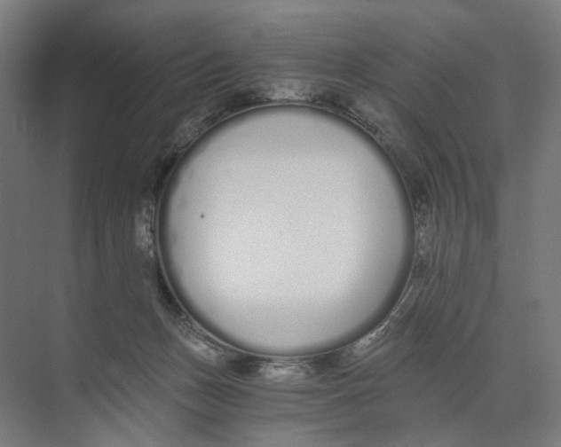 X0000073510175200608281716