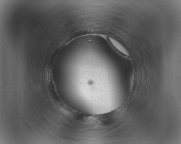 X0000073510180200608281716