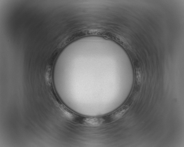 X0000073510181200608281717