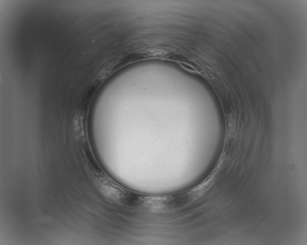 X0000073510182200608281717