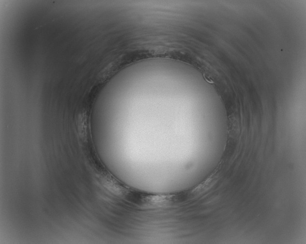 X0000073510184200608281717
