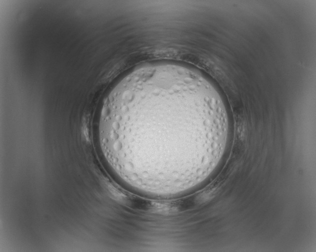 X0000073510185200608281717