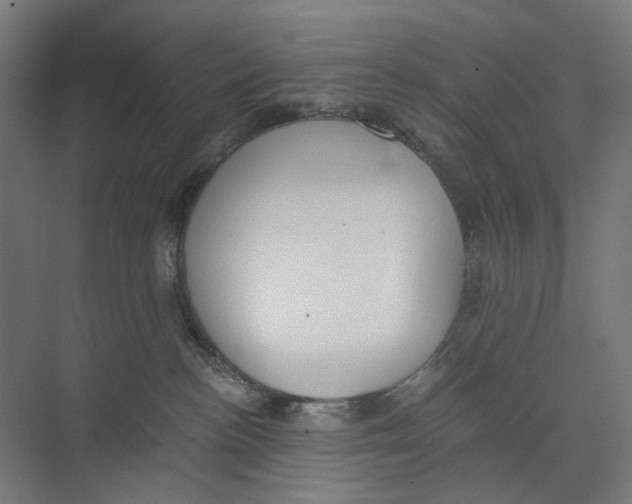 X0000073510188200608281717
