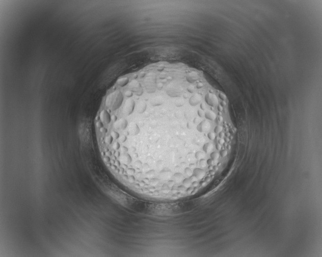 X0000073510191200608281717