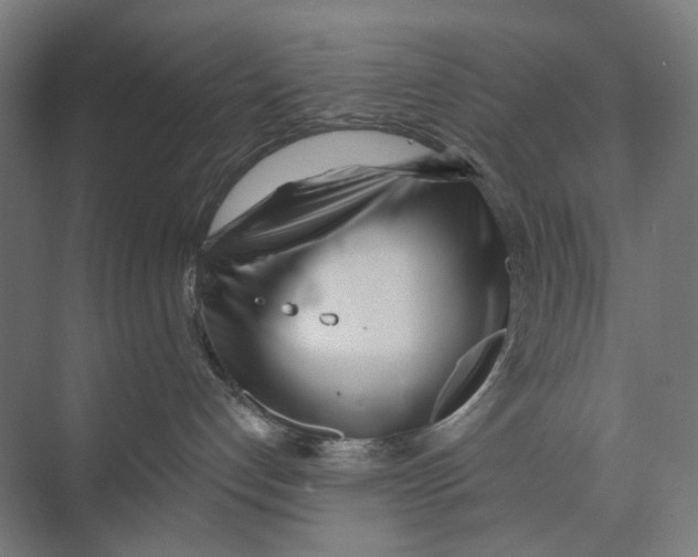 X0000073510192200608281717