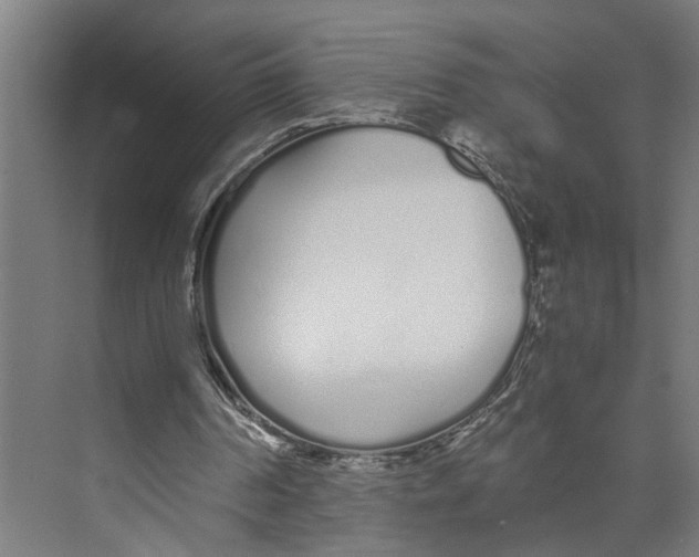 X0000073510194200608281716