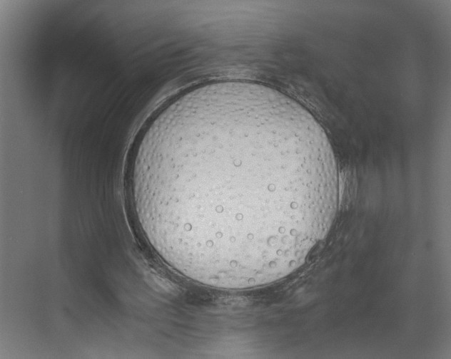 X0000073510195200608281716