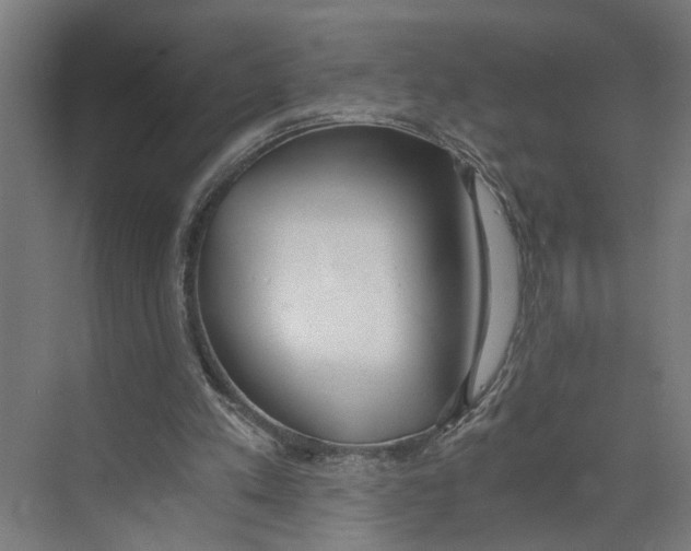 X0000073510197200608281716