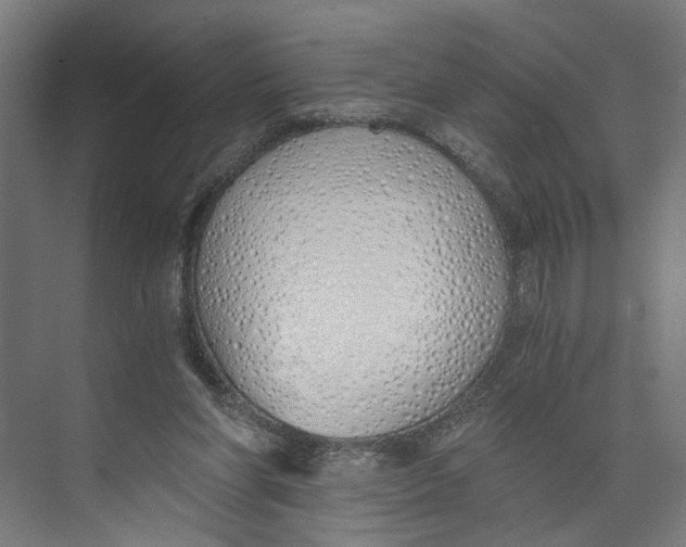 X0000073510206200608281716