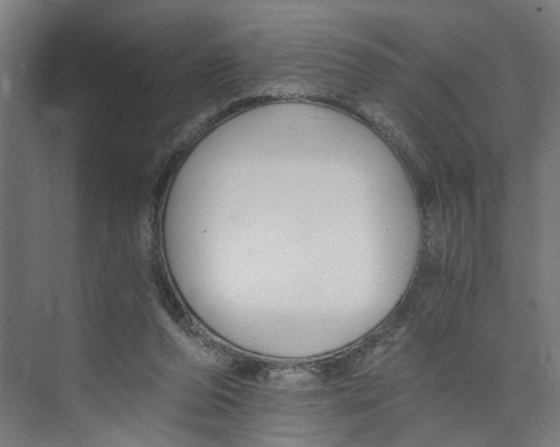 X0000073510208200608281716