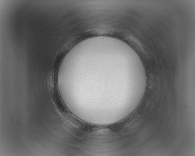 X0000073510210200608281716