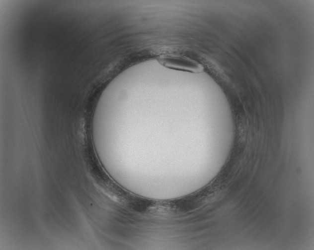 X0000073510211200608281716