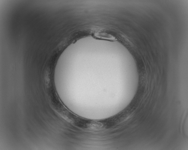 X0000073510215200608281715