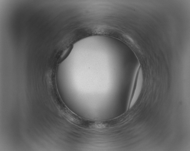 X0000073510217200608281715
