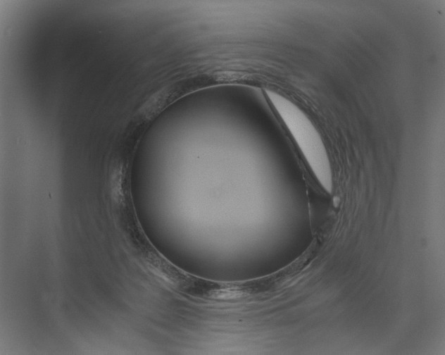 X0000073510219200608281715