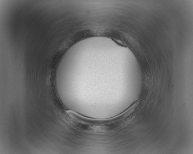 X0000073510221200608281715