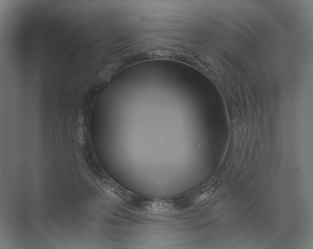 X0000073510223200608281715