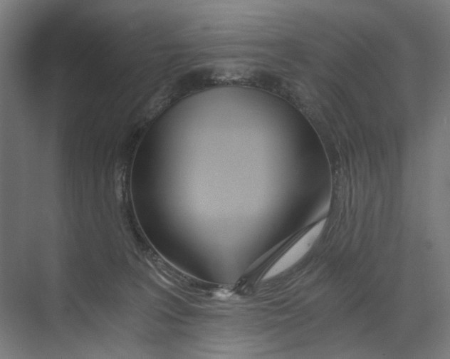 X0000073510227200608281715