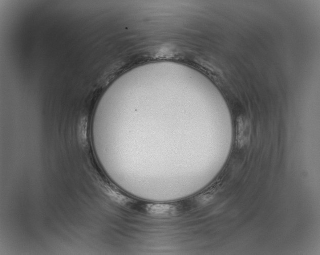 X0000073510230200608281715