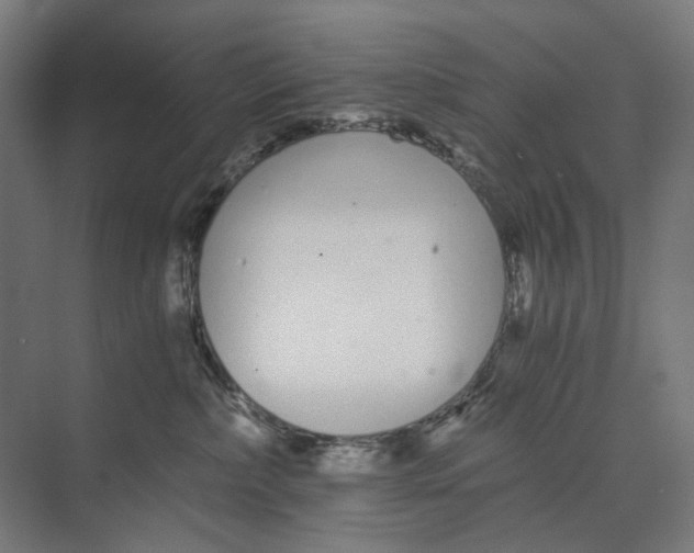 X0000073510236200608281715